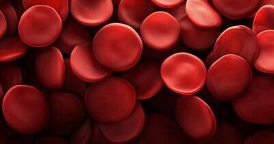 Erytrocyty ile powinno być we krwi?