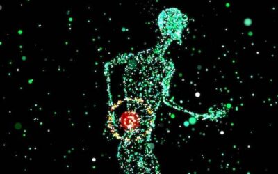 Jaką rolę pełni jod w organizmie?