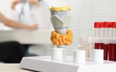 Jakie powinno być prawidłowe TSH tarczycy według aktualnych norm?